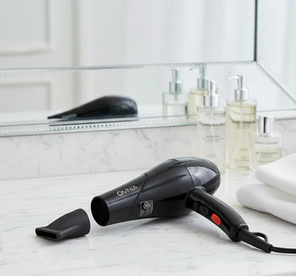 Uscator de Par Electric 1600W